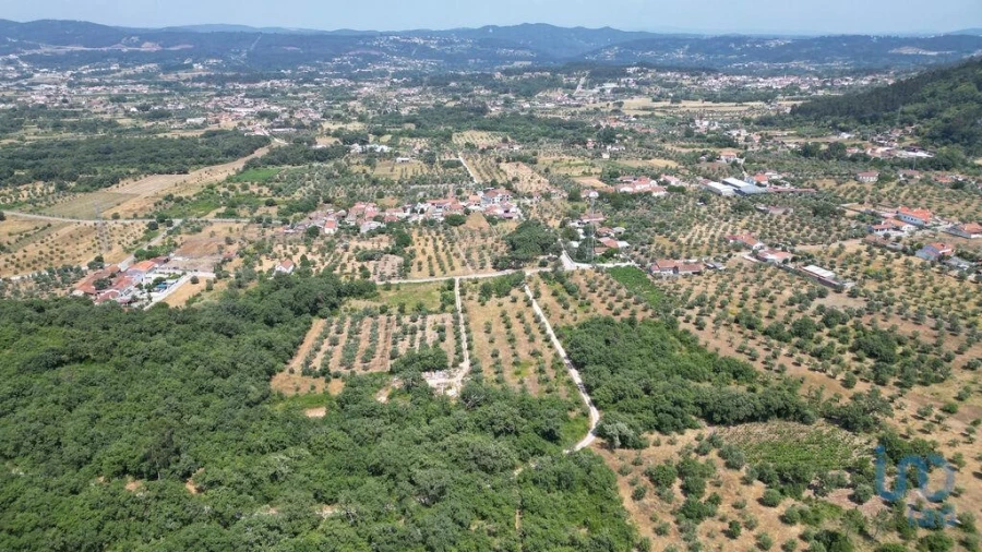 Terreno para Venda em Chão de Couce Foto 8