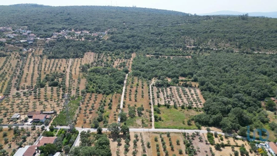 Terreno para Venda em Chão de Couce Foto 2