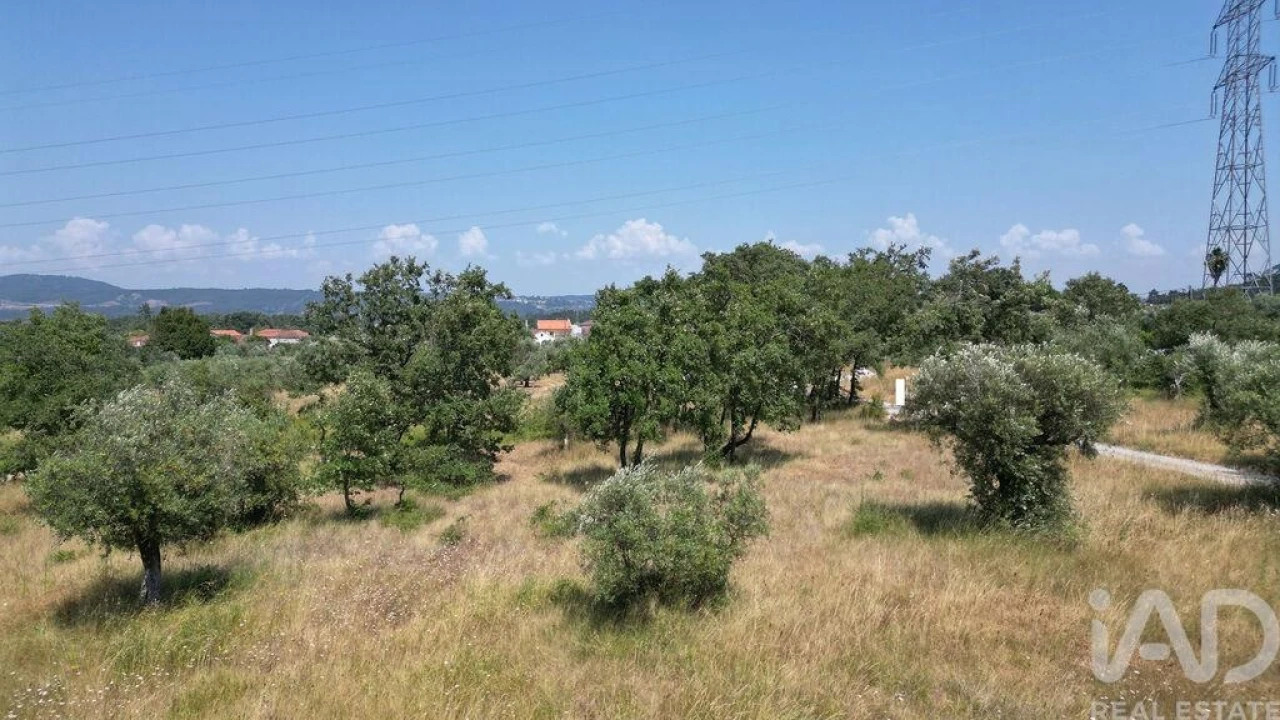 Terreno para Venda em Chão de Couce Foto 15
