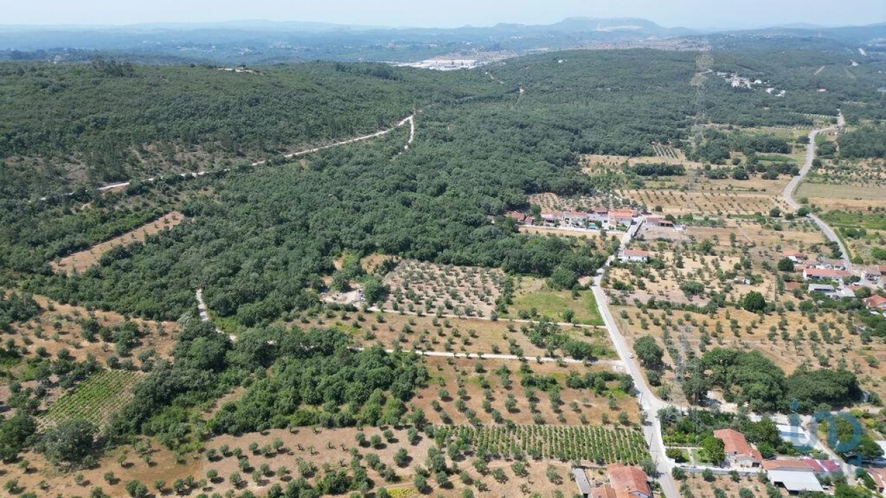 Terreno para Venda em Chão de Couce Foto 11