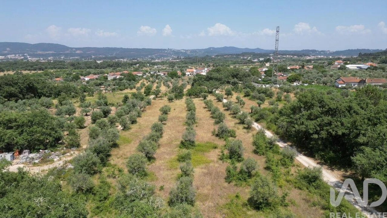 Terreno para Venda em Chão de Couce Foto 18