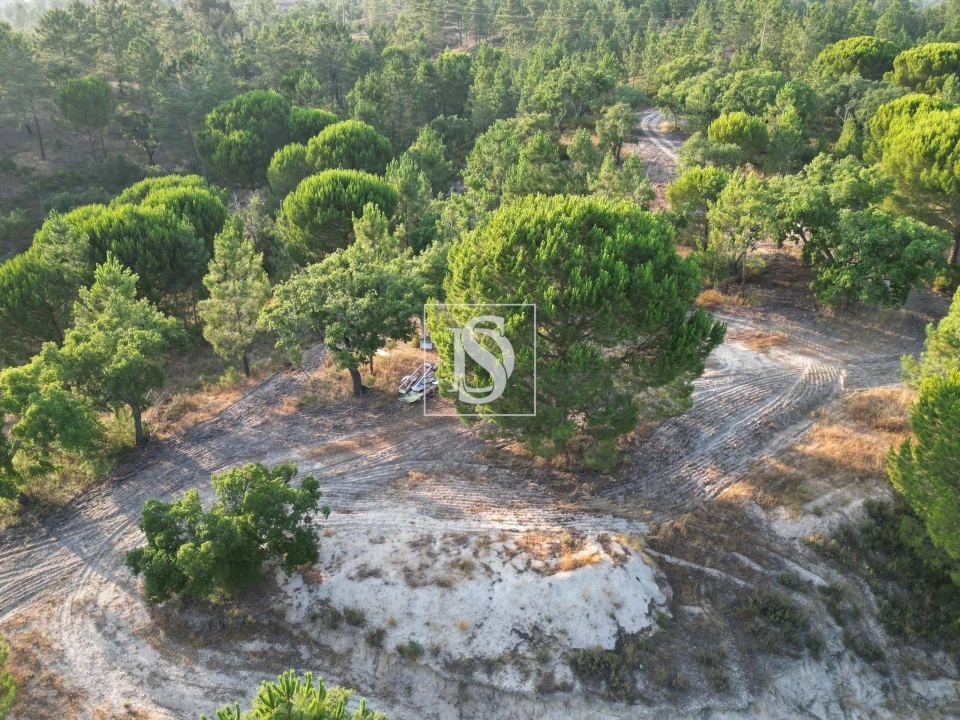 Moradia para Venda em Montargil Foto 8