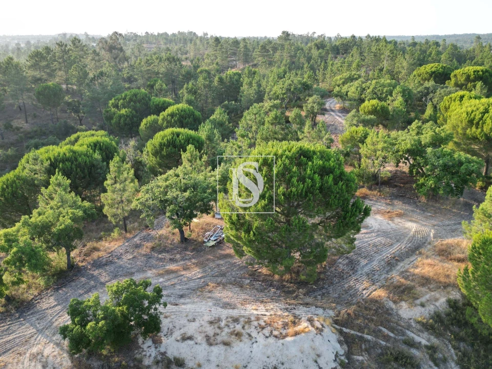 Moradia para Venda em Montargil Foto 7