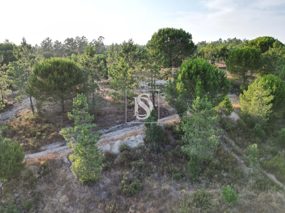 Moradia para Venda em Montargil Foto 9