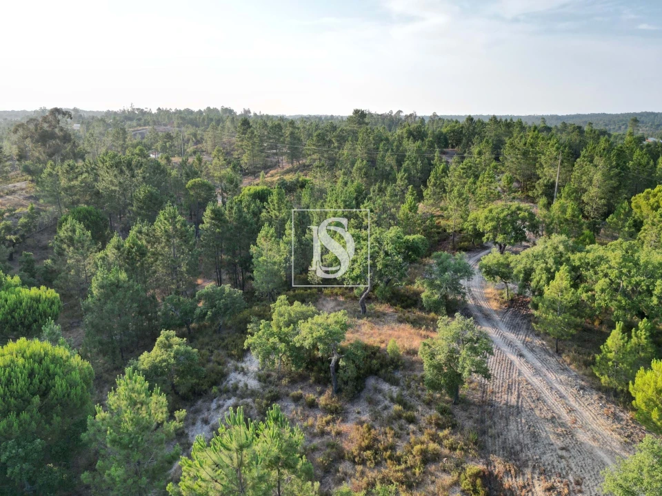 Moradia para Venda em Montargil Foto 3