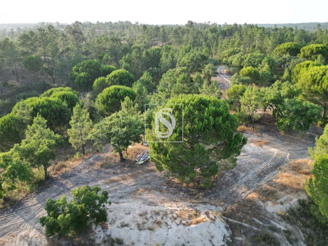 Moradia para Venda em Montargil Foto 7