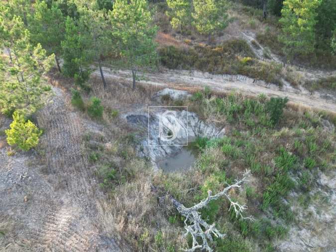 Moradia para Venda em Montargil Foto 10