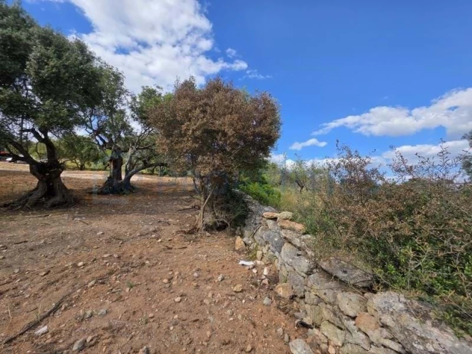Terreno para Venda em Boliqueime Foto 11