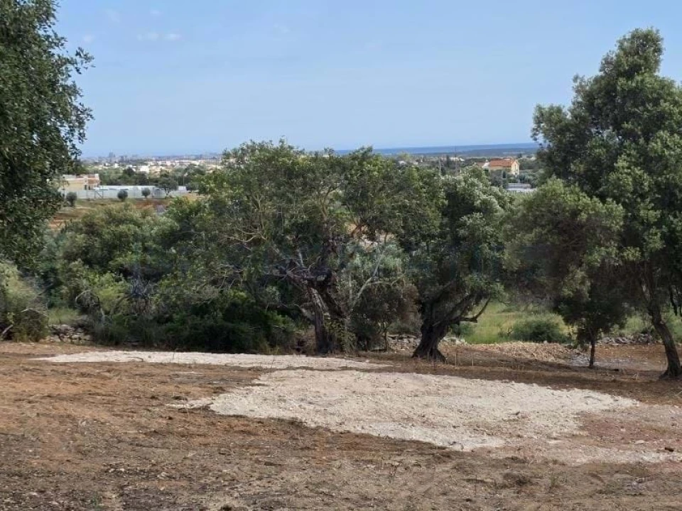 Terreno para Venda em Boliqueime Foto 1