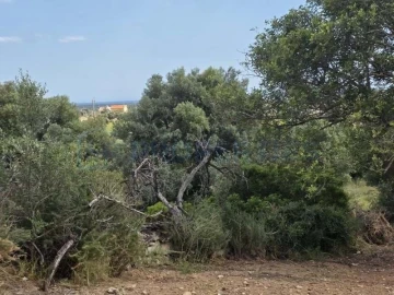 Terreno para Venda em Boliqueime