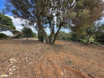Terreno para Venda em Boliqueime