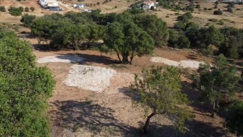 Terreno para Venda em Boliqueime