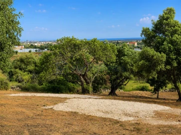 Terreno para Venda em Boliqueime