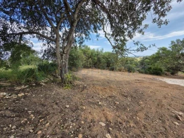 Terreno para Venda em Boliqueime