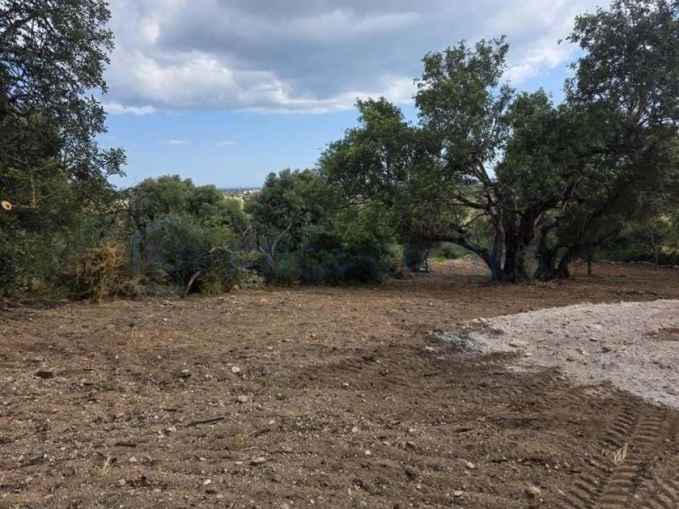 Terreno para Venda em Boliqueime Foto 8
