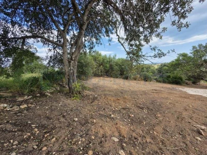 Terreno para Venda em Boliqueime Foto 6