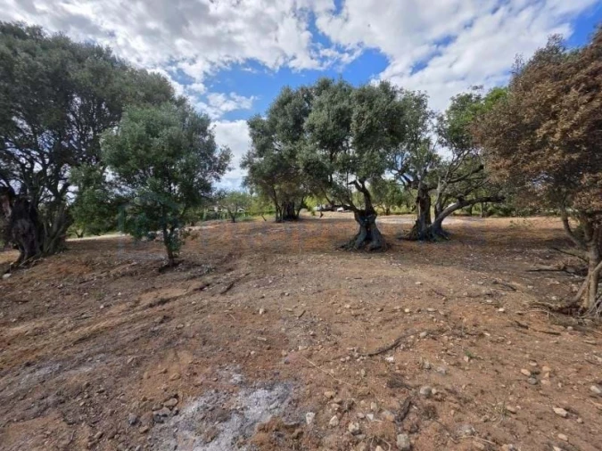 Terreno para Venda em Boliqueime Foto 10