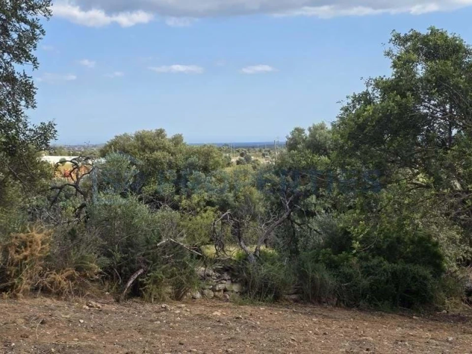 Terreno para Venda em Boliqueime Foto 5