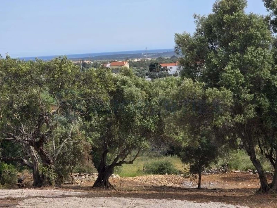 Terreno para Venda em Boliqueime Foto 16