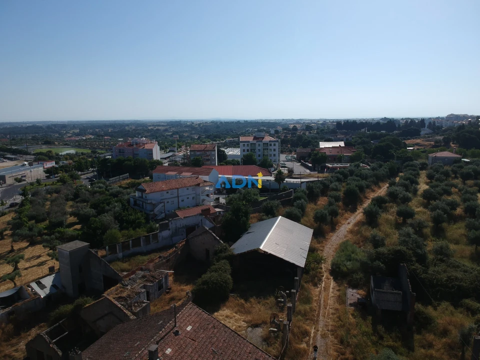 Quinta para Venda em Castelo Branco Foto 5