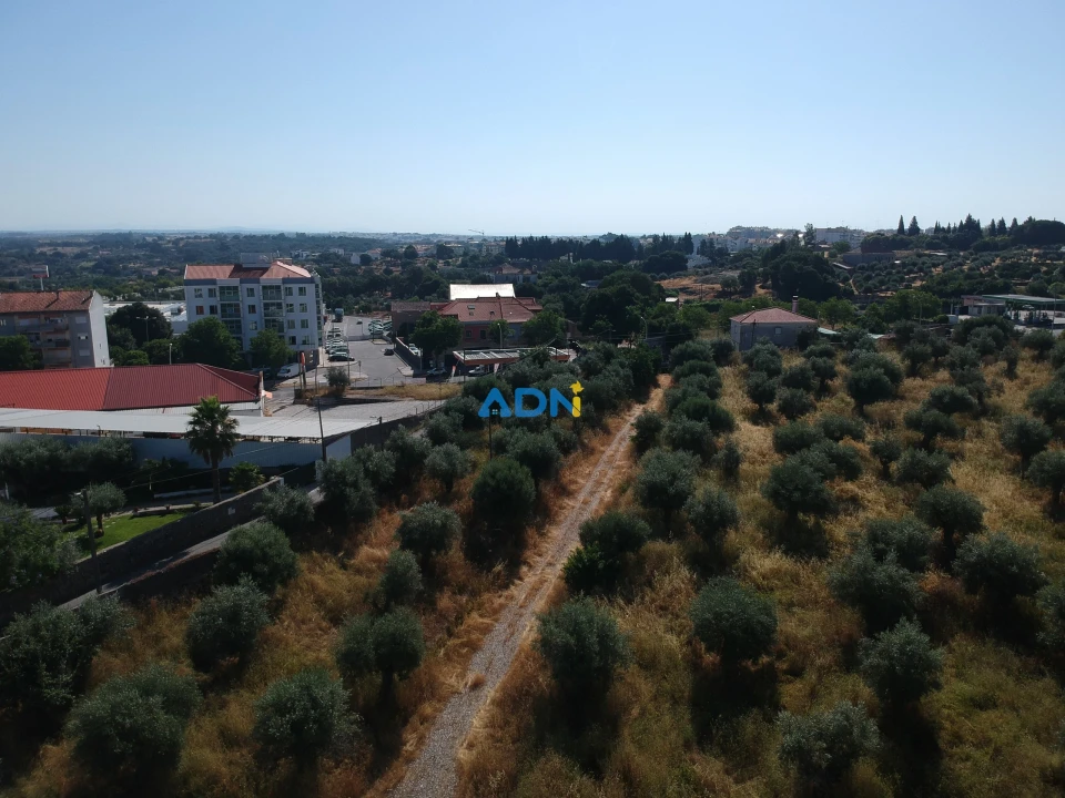 Quinta para Venda em Castelo Branco Foto 10