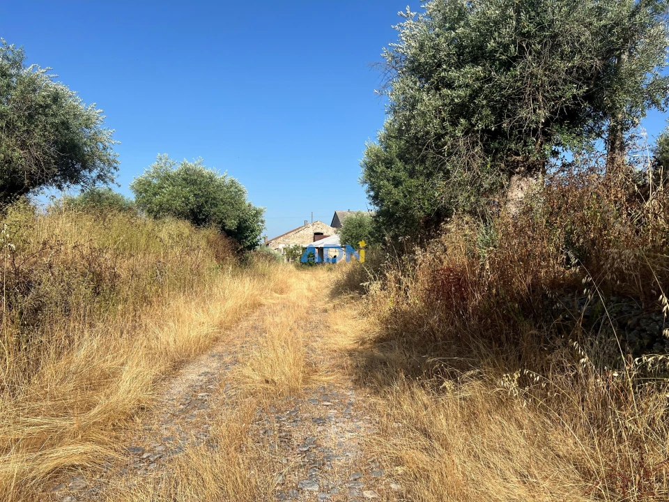 Quinta para Venda em Castelo Branco Foto 19