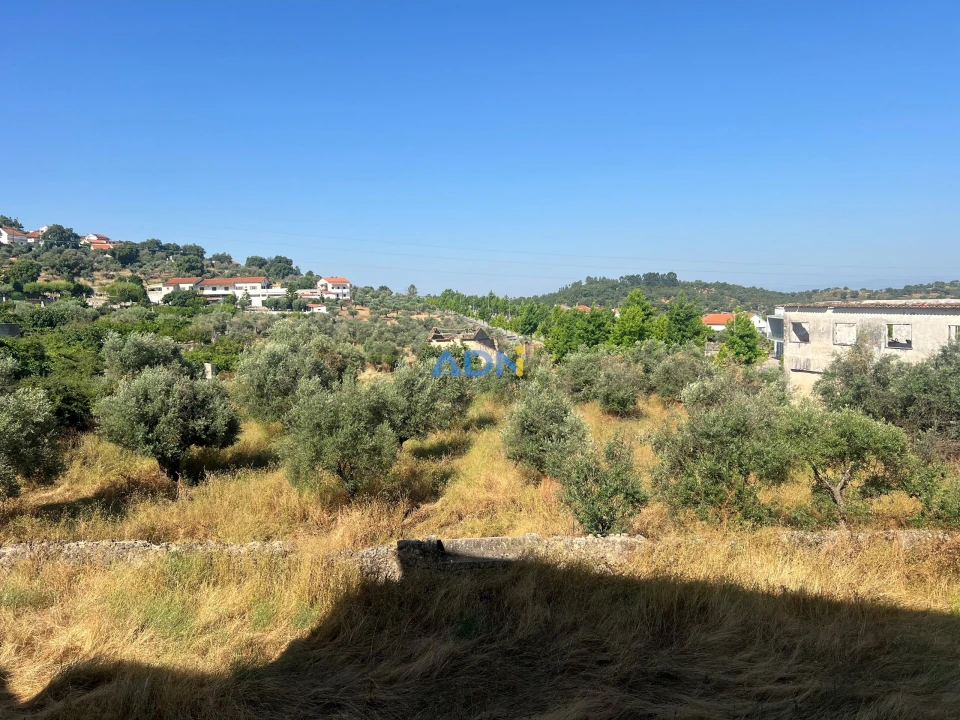 Quinta para Venda em Castelo Branco Foto 42