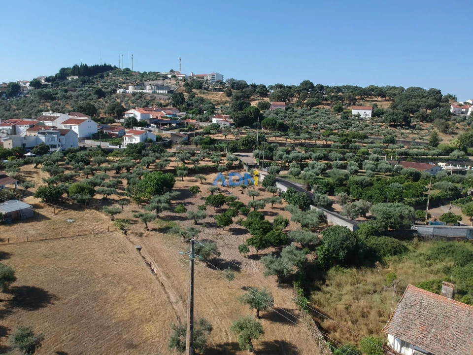 Quinta para Venda em Castelo Branco Foto 4