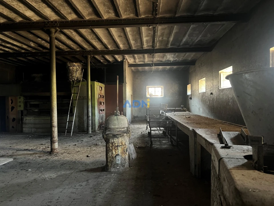 Quinta para Venda em Castelo Branco Foto 28