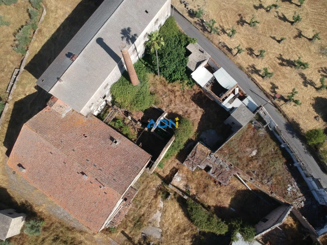 Quinta para Venda em Castelo Branco Foto 16