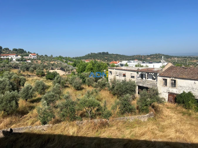 Quinta para Venda em Castelo Branco Foto 49