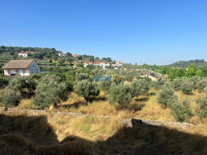 Quinta para Venda em Castelo Branco Foto 44