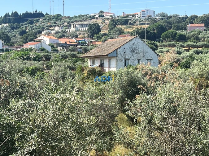 Quinta para Venda em Castelo Branco Foto 56