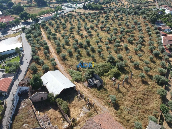 Quinta para Venda em Castelo Branco Foto 18