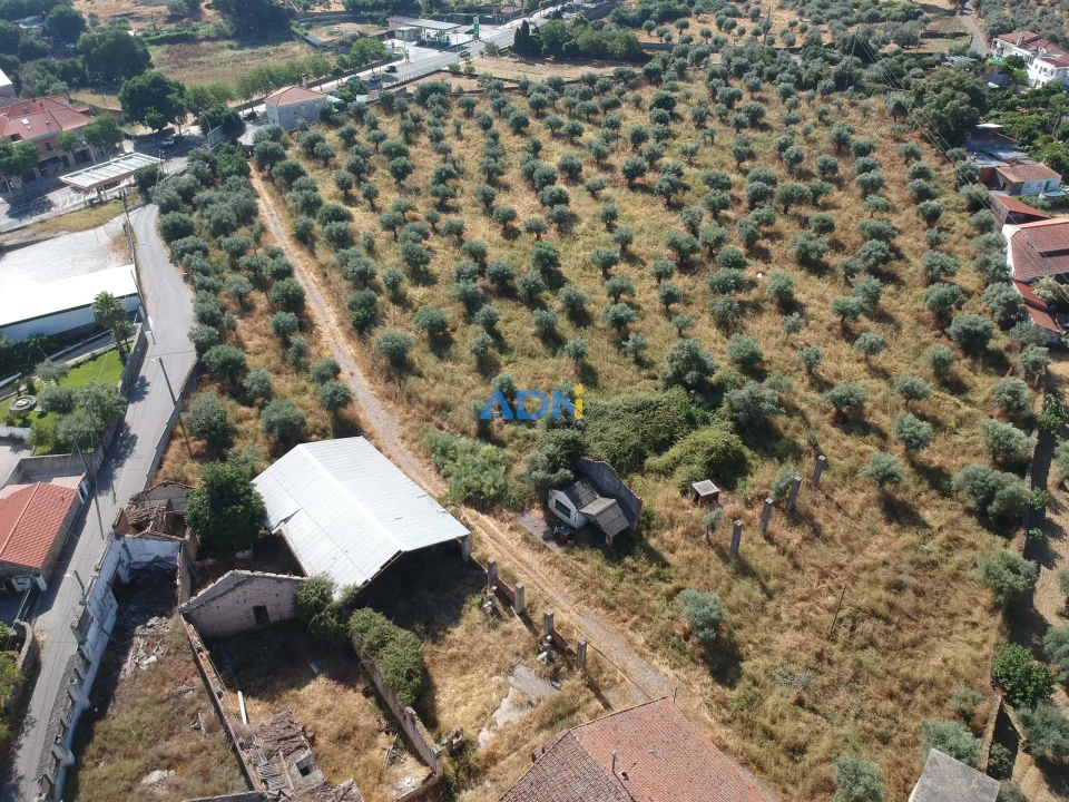 Quinta para Venda em Castelo Branco Foto 18