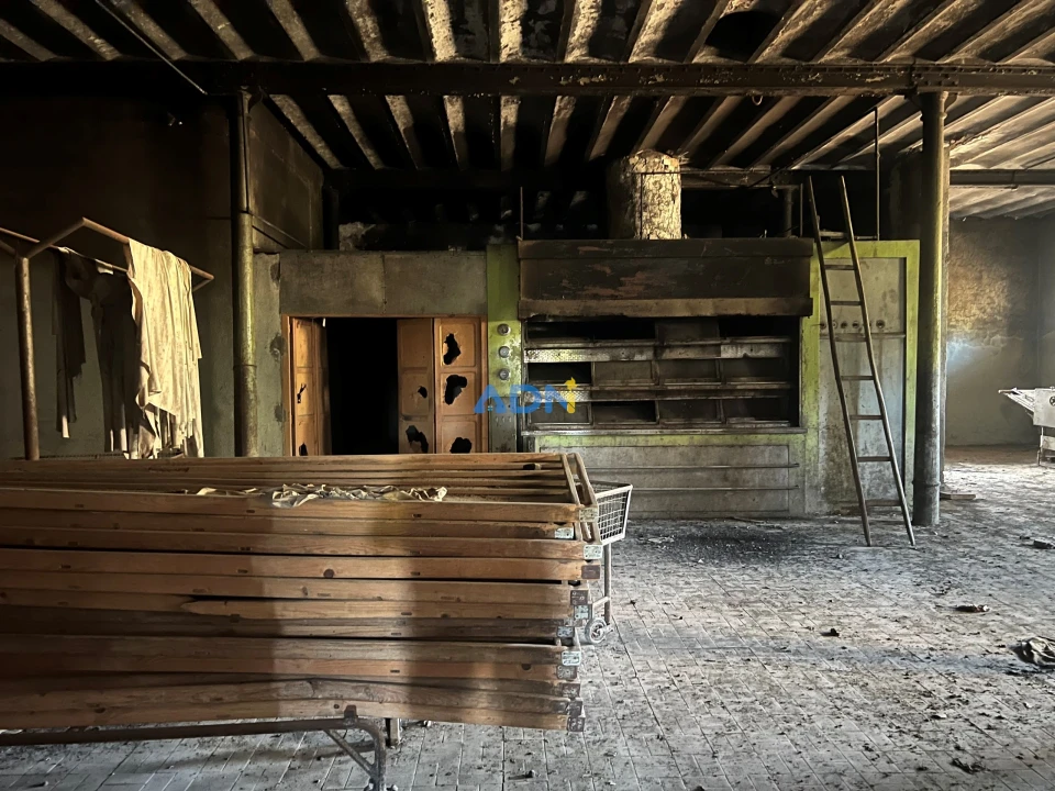 Quinta para Venda em Castelo Branco Foto 26