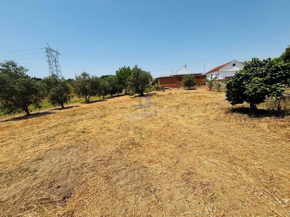 Terreno para Venda em Alcoentre Foto 5