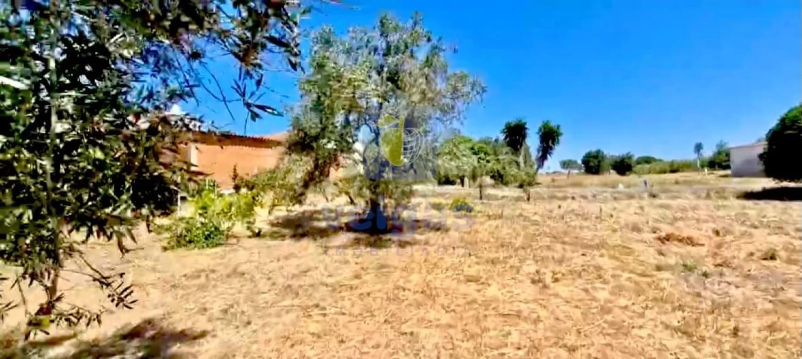 Terreno para Venda em Alcoentre Foto 12