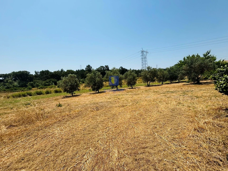 Terreno para Venda em Alcoentre Foto 2