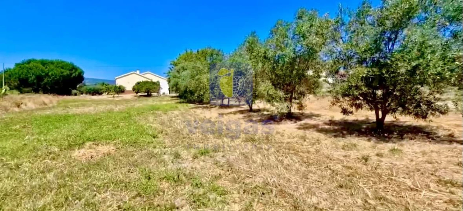 Terreno para Venda em Alcoentre Foto 4