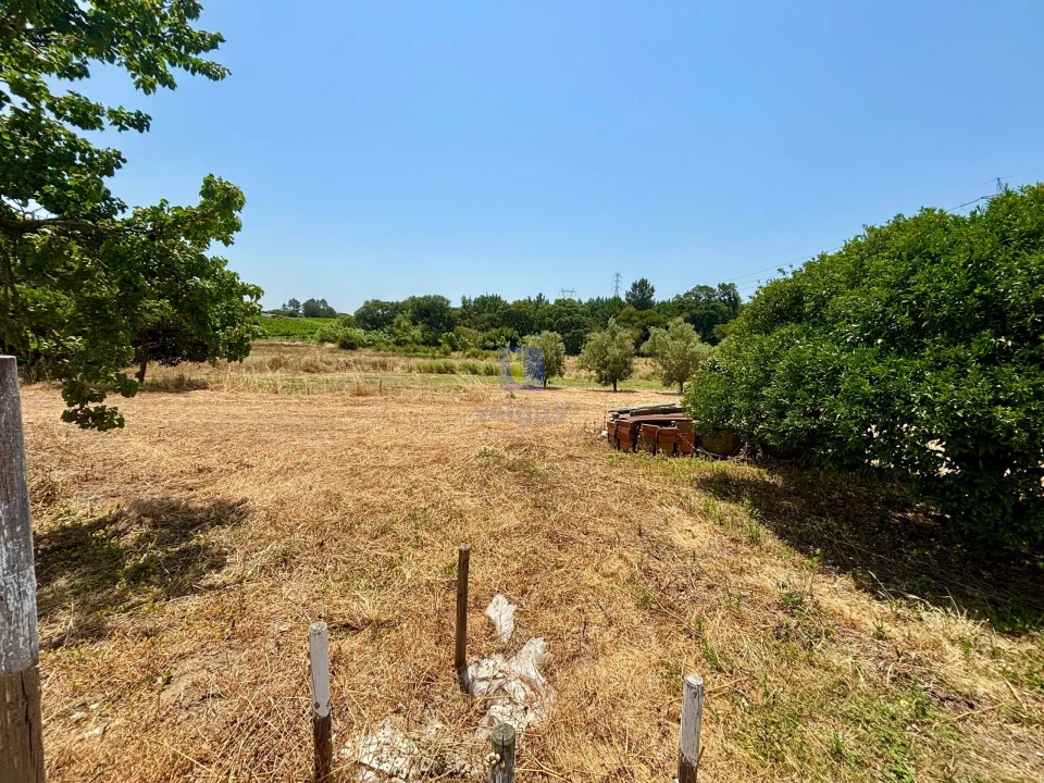 Terreno para Venda em Alcoentre Foto 8