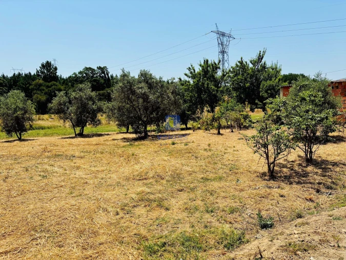 Terreno para Venda em Alcoentre Foto 3