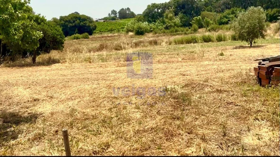 Terreno para Venda em Alcoentre Foto 9