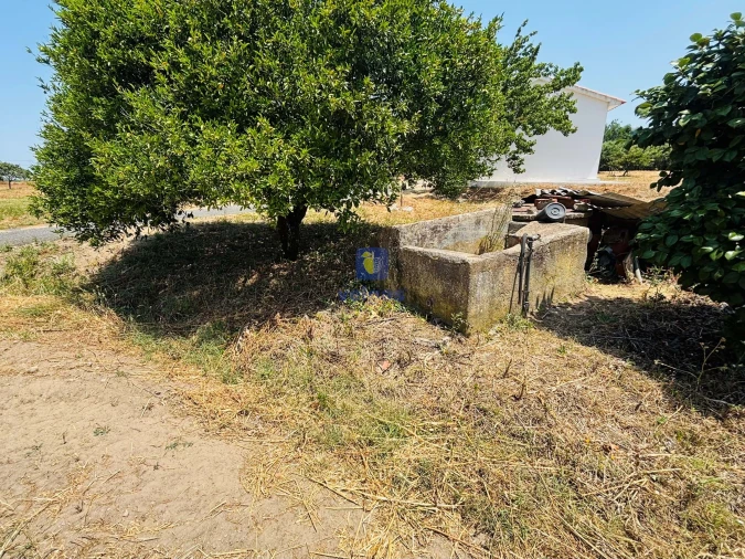 Terreno para Venda em Alcoentre Foto 6