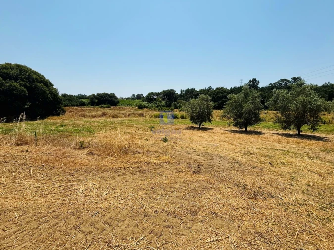 Terreno para Venda em Alcoentre