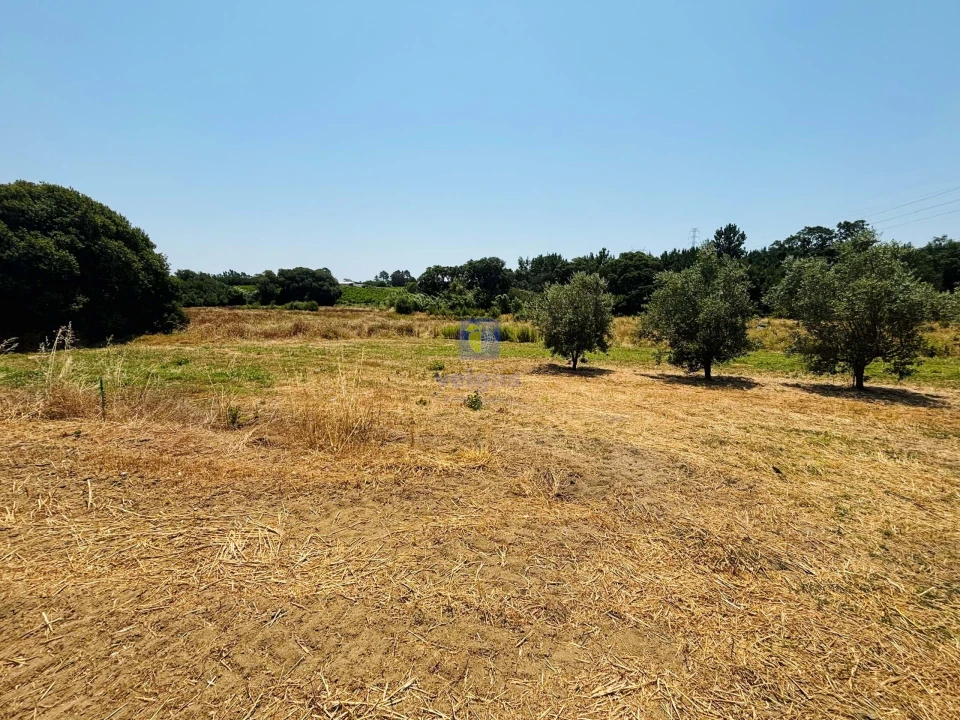 Terreno para Venda em Alcoentre Foto 1