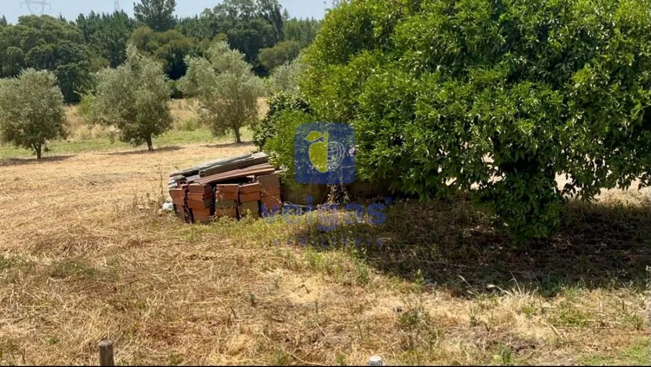 Terreno para Venda em Alcoentre Foto 7