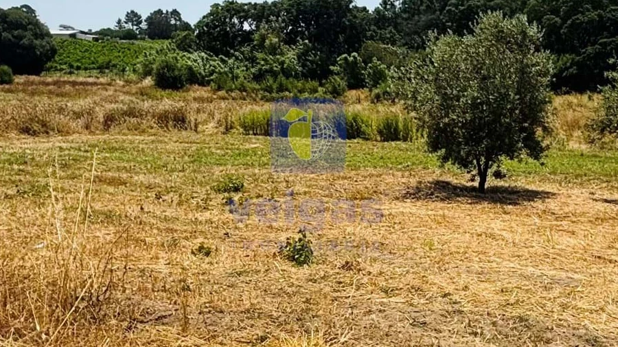 Terreno para Venda em Alcoentre