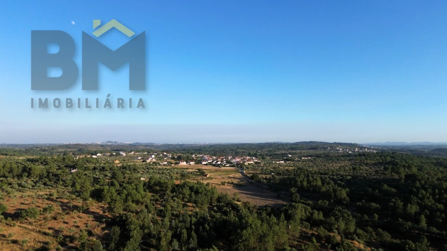 Terreno Agricola ou Rústico para Venda em Freixial e Juncal do Campo Foto 12