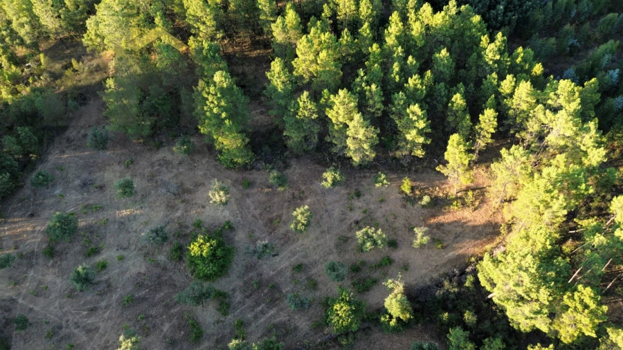 Terreno Agricola ou Rústico para Venda em Freixial e Juncal do Campo Foto 3